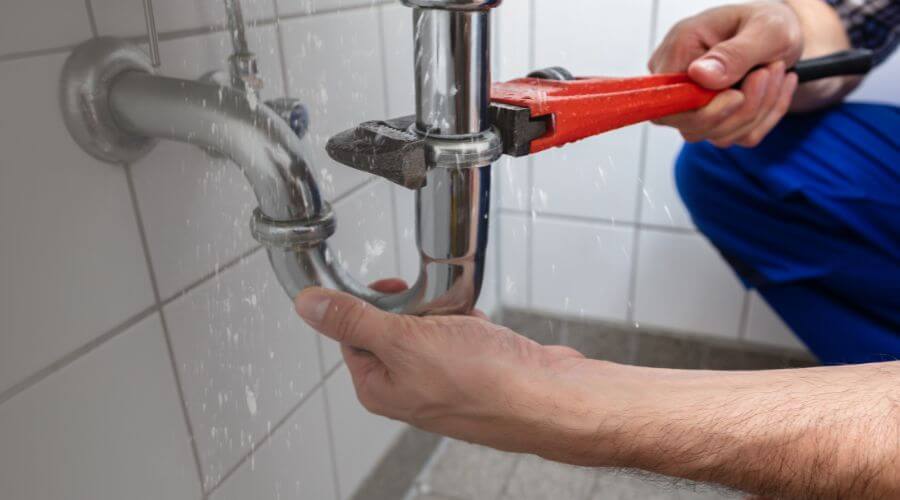 Professional Leak Detection services in Almont, MI